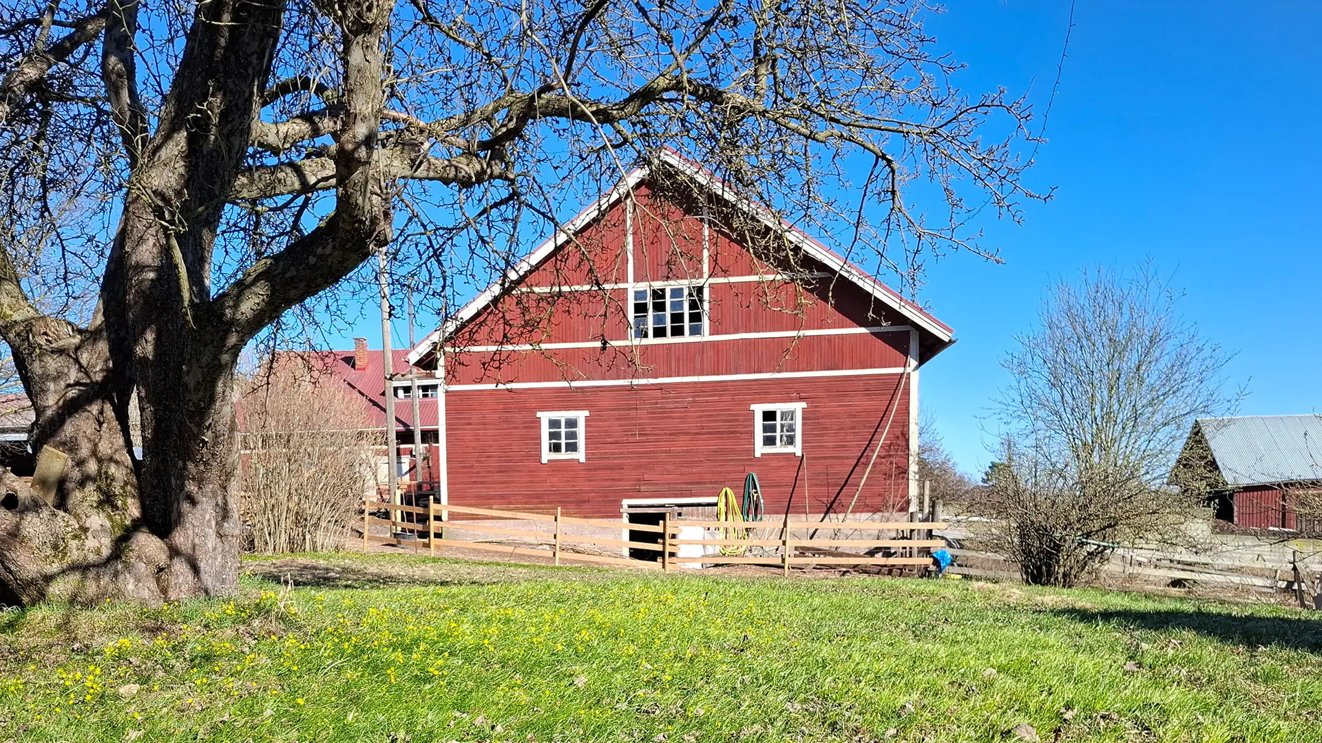 villa pirtti taustakuva5